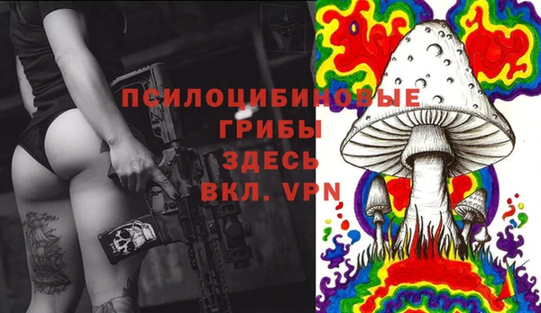 твердый Иннополис