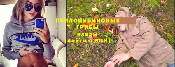 твердый Иннополис
