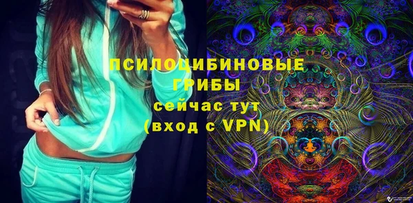 твердый Иннополис
