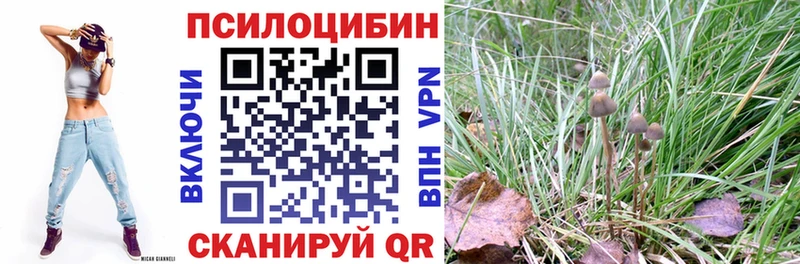 Псилоцибиновые грибы мухоморы  Купить  Дзержинский 